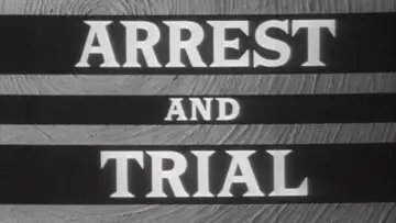 Backdrop for the TV series "Arrest and Trial" #1658090