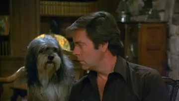 Backdrop к сериалу "Hart to Hart" #1325927