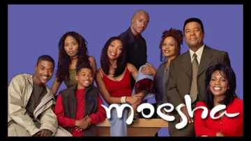 Backdrop к сериалу "Moesha" #1368348