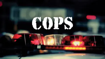 Backdrop к сериалу "Cops" #1275982
