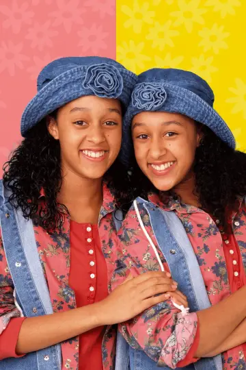 Poster for the TV series "Sister, Sister" #1539073