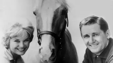 Backdrop к сериалу "Mister Ed" #1392628