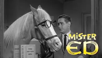 Backdrop к сериалу "Mister Ed" #1392629