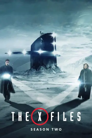 Poster for the TV series "The X-Files" #1265944
