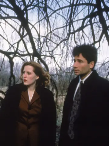 Poster for the TV series "The X-Files" #1265964