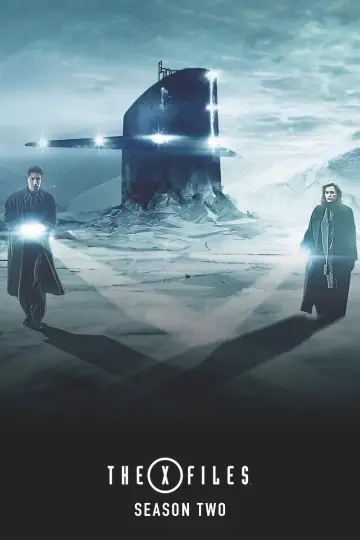 Poster for the TV series "The X-Files" #1265966
