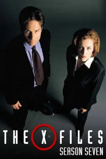 Poster for the TV series "The X-Files" #1266073