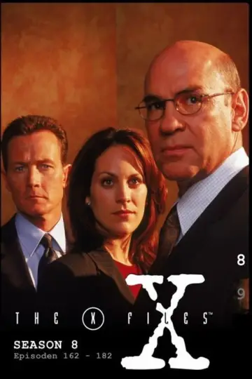 Poster for the TV series "The X-Files" #1266107