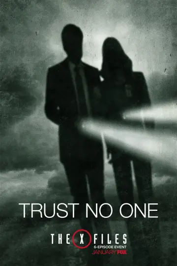 Poster for the TV series "The X-Files" #1266161