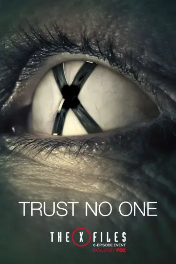 Poster for the TV series "The X-Files" #1266162