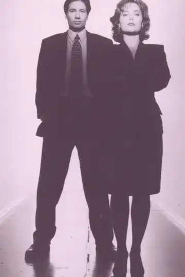 Poster for the TV series "The X-Files" #1535791