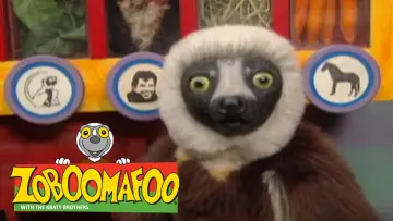 Backdrop for the TV series "Zoboomafoo" #1831472