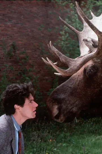 Poster к сериалу "Northern Exposure" #1301057
