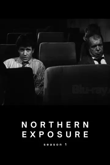 Poster for the TV series "Northern Exposure" #1689307