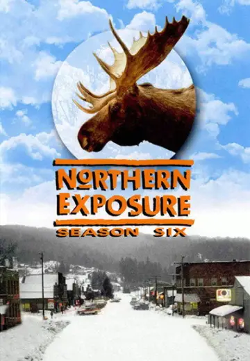 Poster for the TV series "Northern Exposure" #1689334