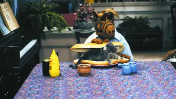 Backdrop к сериалу "ALF" #1329930