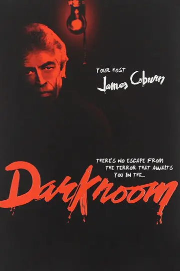 Poster for the TV series "Darkroom" #1795783