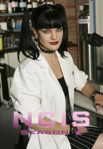 Poster for the TV series "NCIS" #1238588
