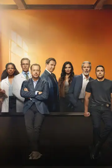 Poster for the TV series "NCIS" #1655730