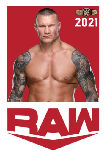 Poster for the TV series "Raw" #1244076