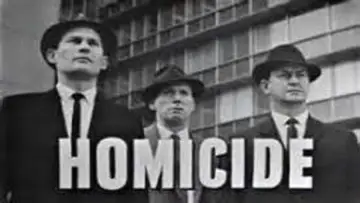 Backdrop for the TV series "Homicide" #1362509