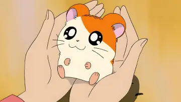 Backdrop к сериалу "Hamtaro" #1335492