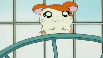 Backdrop к сериалу "Hamtaro" #1335493