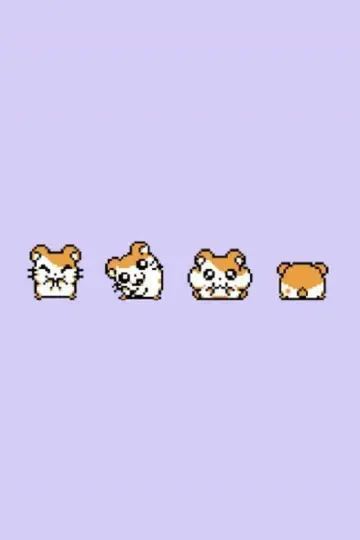 Poster к сериалу "Hamtaro" #1335501