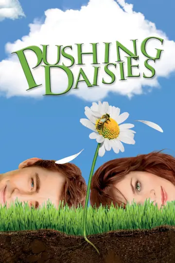 Poster for the TV series "Pushing Daisies" #1589148