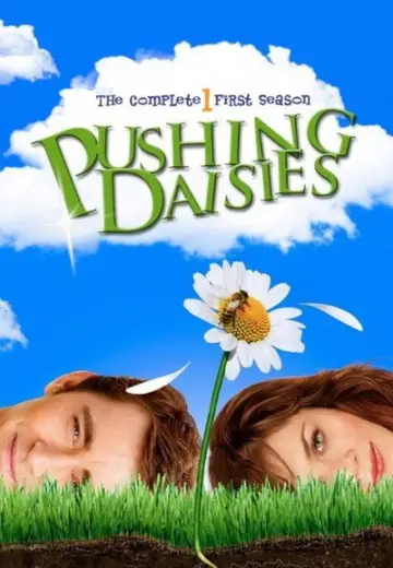 Poster for the TV series "Pushing Daisies" #1707380