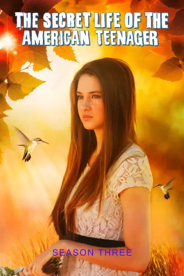 Poster for the TV series "The Secret Life of the American Teenager" #1691132