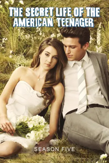 Poster for the TV series "The Secret Life of the American Teenager" #1691142