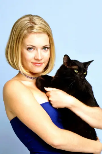 Poster for the TV series "Sabrina, the Teenage Witch" #1297905