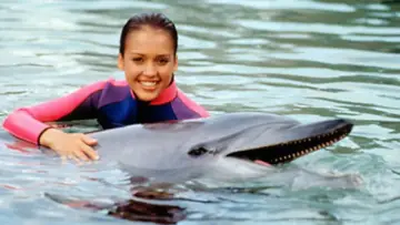 Backdrop for the TV series "Flipper" #1595471
