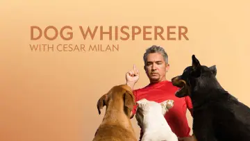 Backdrop к сериалу "Dog Whisperer" #1444527