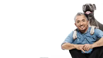 Backdrop к сериалу "Dog Whisperer" #1444530