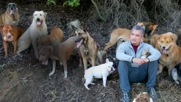 Backdrop к сериалу "Dog Whisperer" #1444531