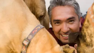 Backdrop к сериалу "Dog Whisperer" #1444532