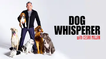 Backdrop к сериалу "Dog Whisperer" #1444533