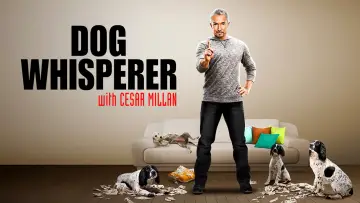 Backdrop к сериалу "Dog Whisperer" #1444534