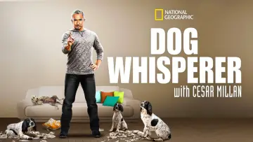 Backdrop к сериалу "Dog Whisperer" #1444535