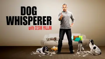 Backdrop к сериалу "Dog Whisperer" #1444536