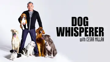 Backdrop к сериалу "Dog Whisperer" #1444537
