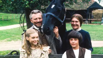 Backdrop for the TV series "The Adventures of Black Beauty" #1832697