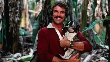 Backdrop к сериалу "Magnum, P.I." #1290528