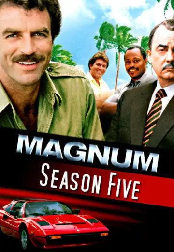 Poster for the TV series "Magnum, P.I." #1613864