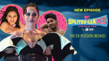 Backdrop к сериалу "MTV Splitsvilla" #1355007