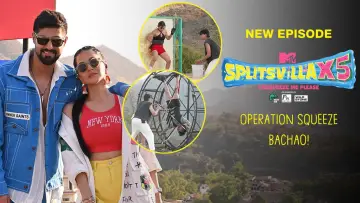 Backdrop к сериалу "MTV Splitsvilla" #1355011
