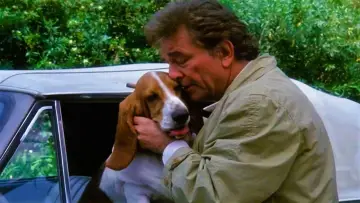 Backdrop к сериалу "Columbo" #1257085