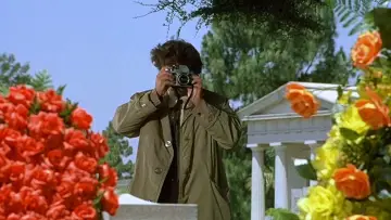 Backdrop к сериалу "Columbo" #1257088
